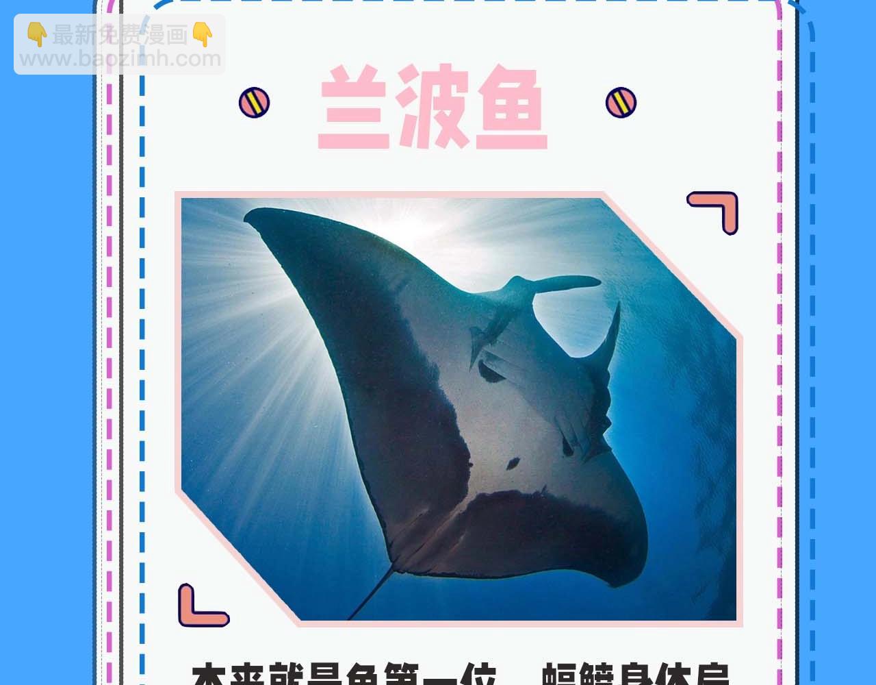 第52期 人鱼陷落的主角都是什么品种的鱼（日更中）5