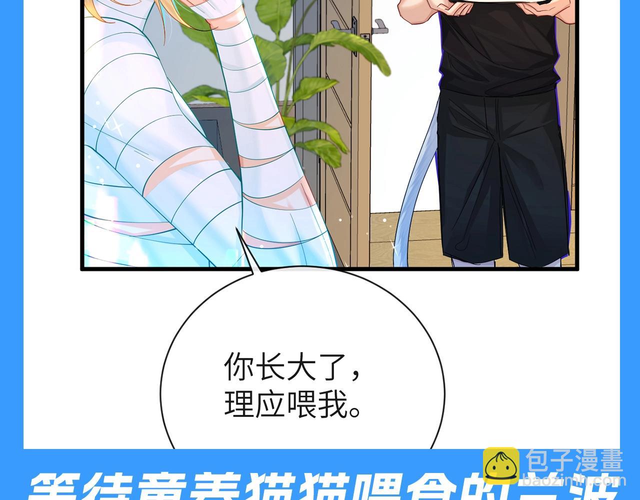 第71期 王的童养猫猫？！18