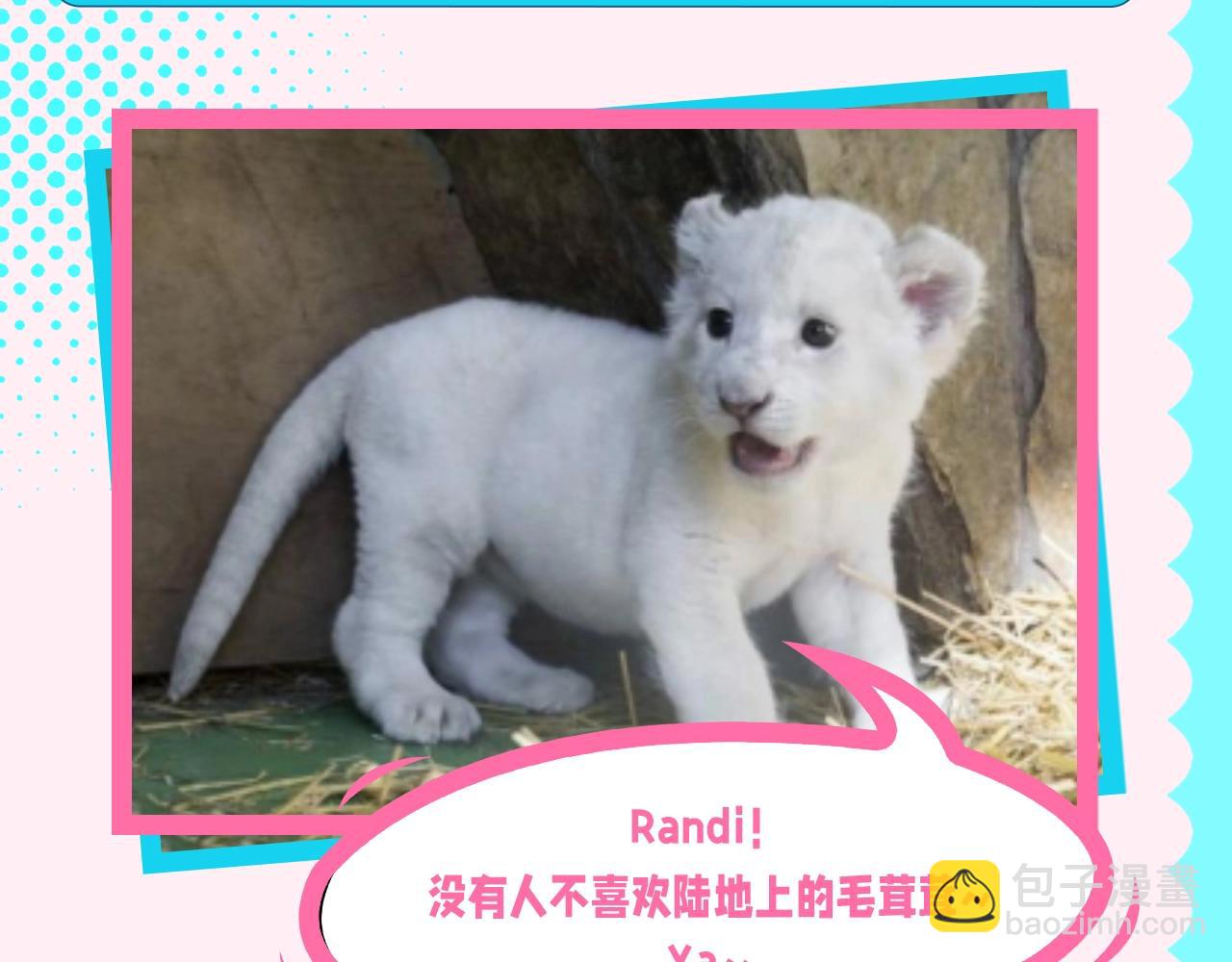 第77期 这么好哄的老婆哪里找！14