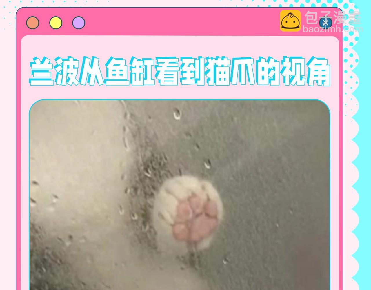 第77期 这么好哄的老婆哪里找！6