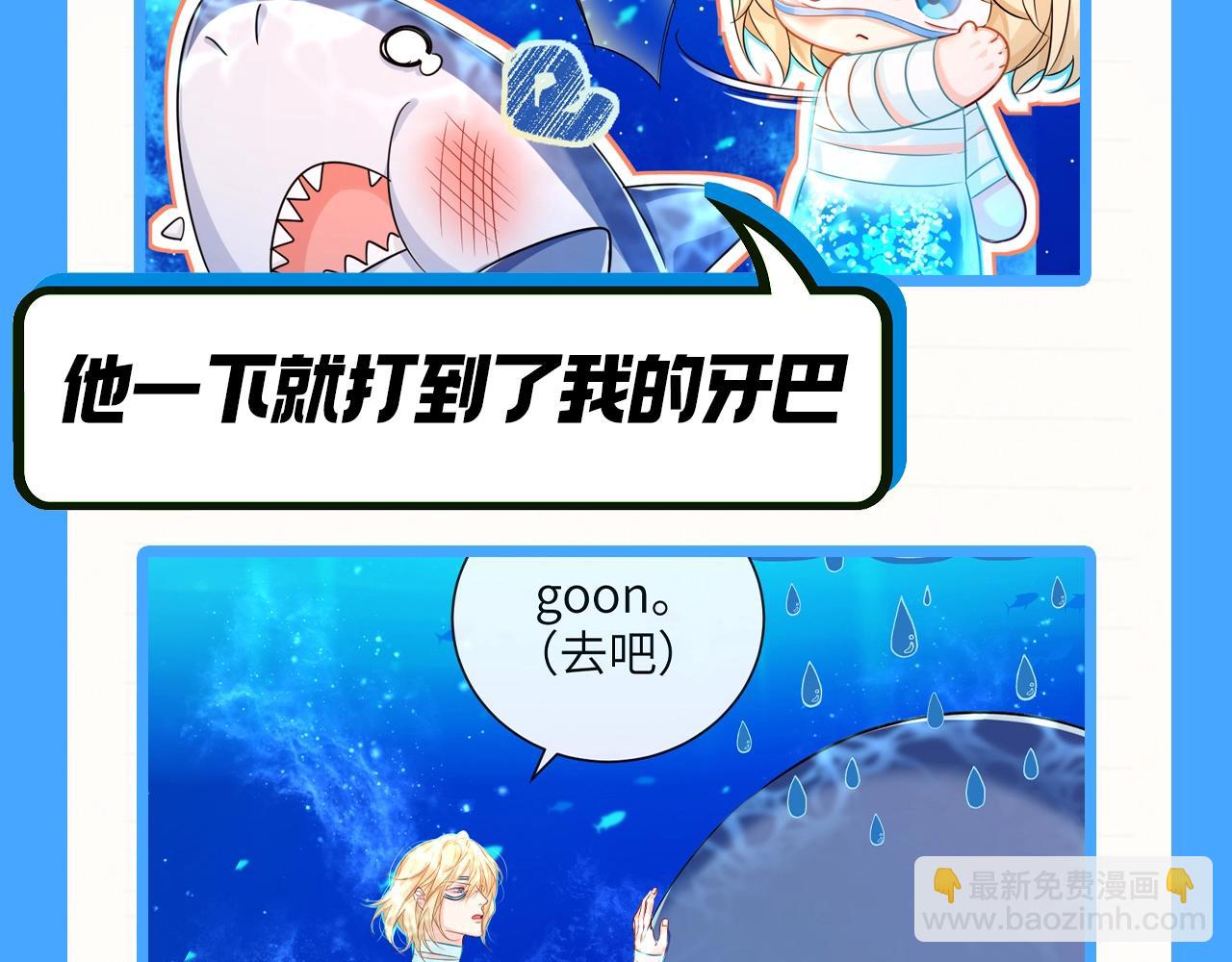 第81期 起了鲨心！11