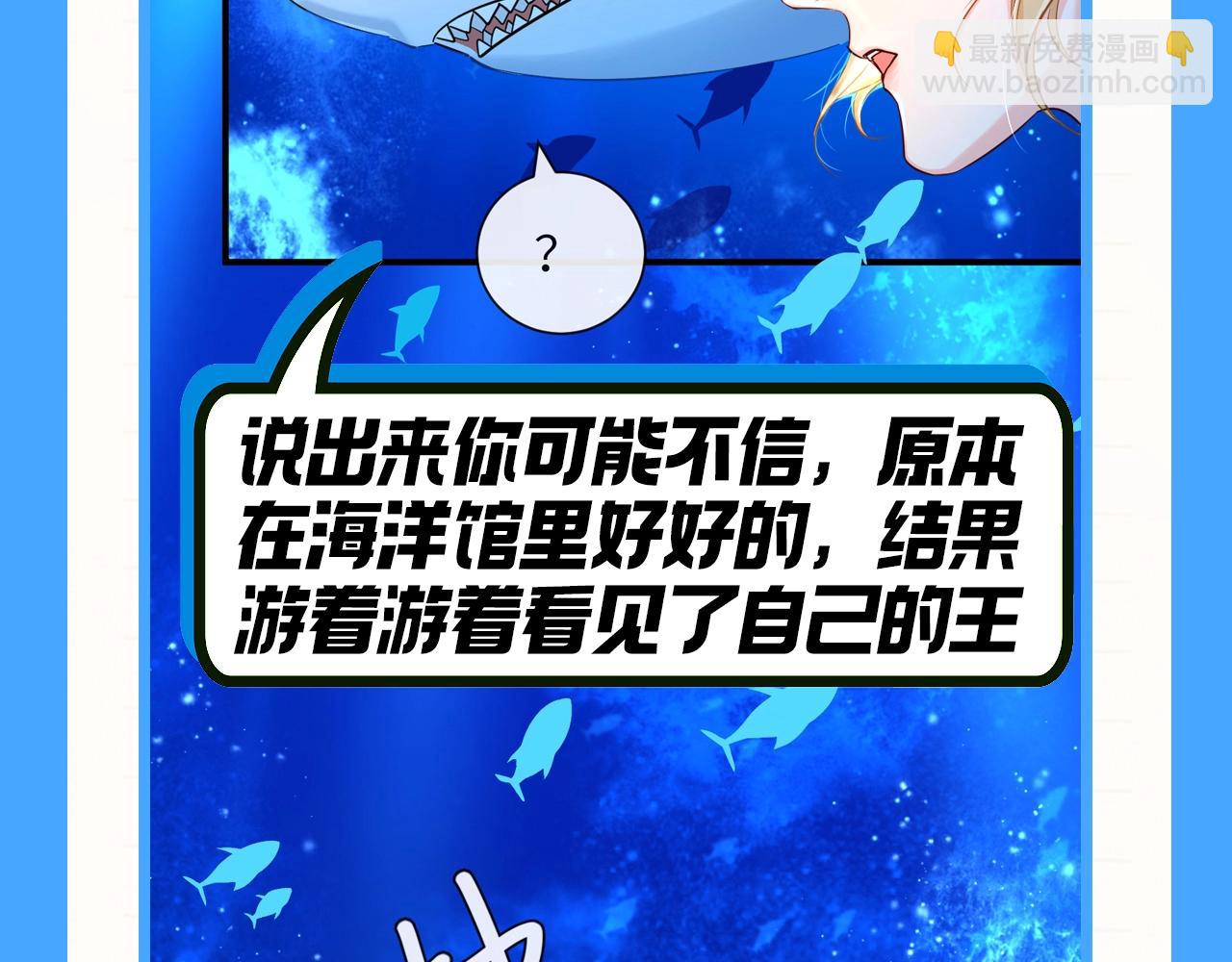 第81期 起了鲨心！5
