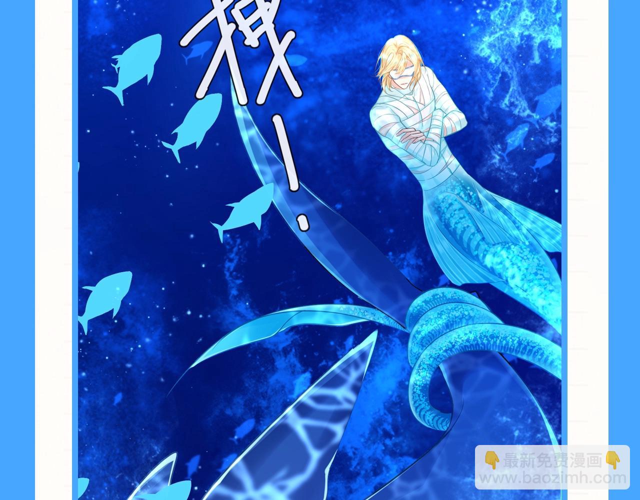第81期 起了鲨心！6