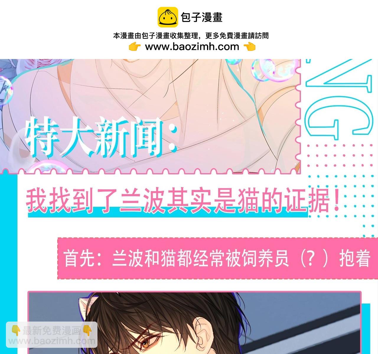 第84期 这下谁还分得清兰波和猫啊？1