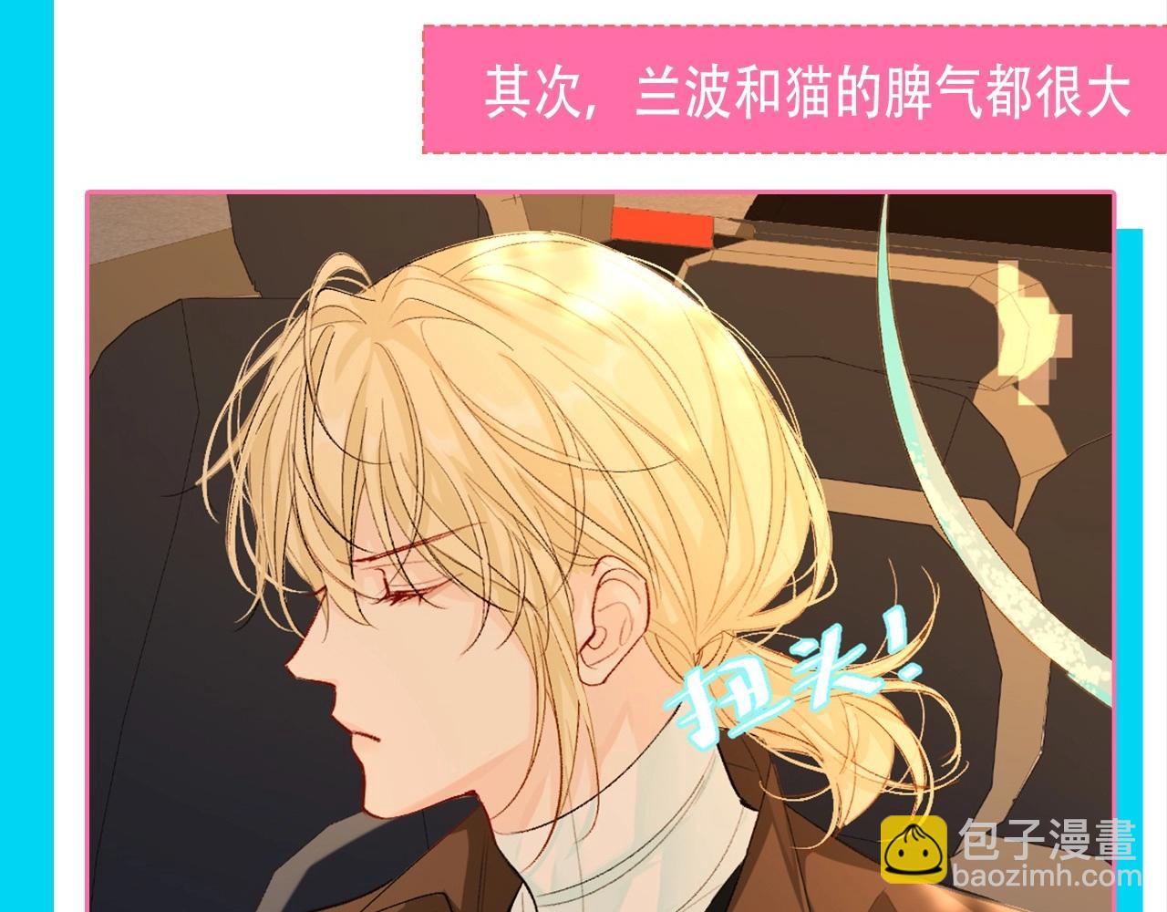 第84期 这下谁还分得清兰波和猫啊？3