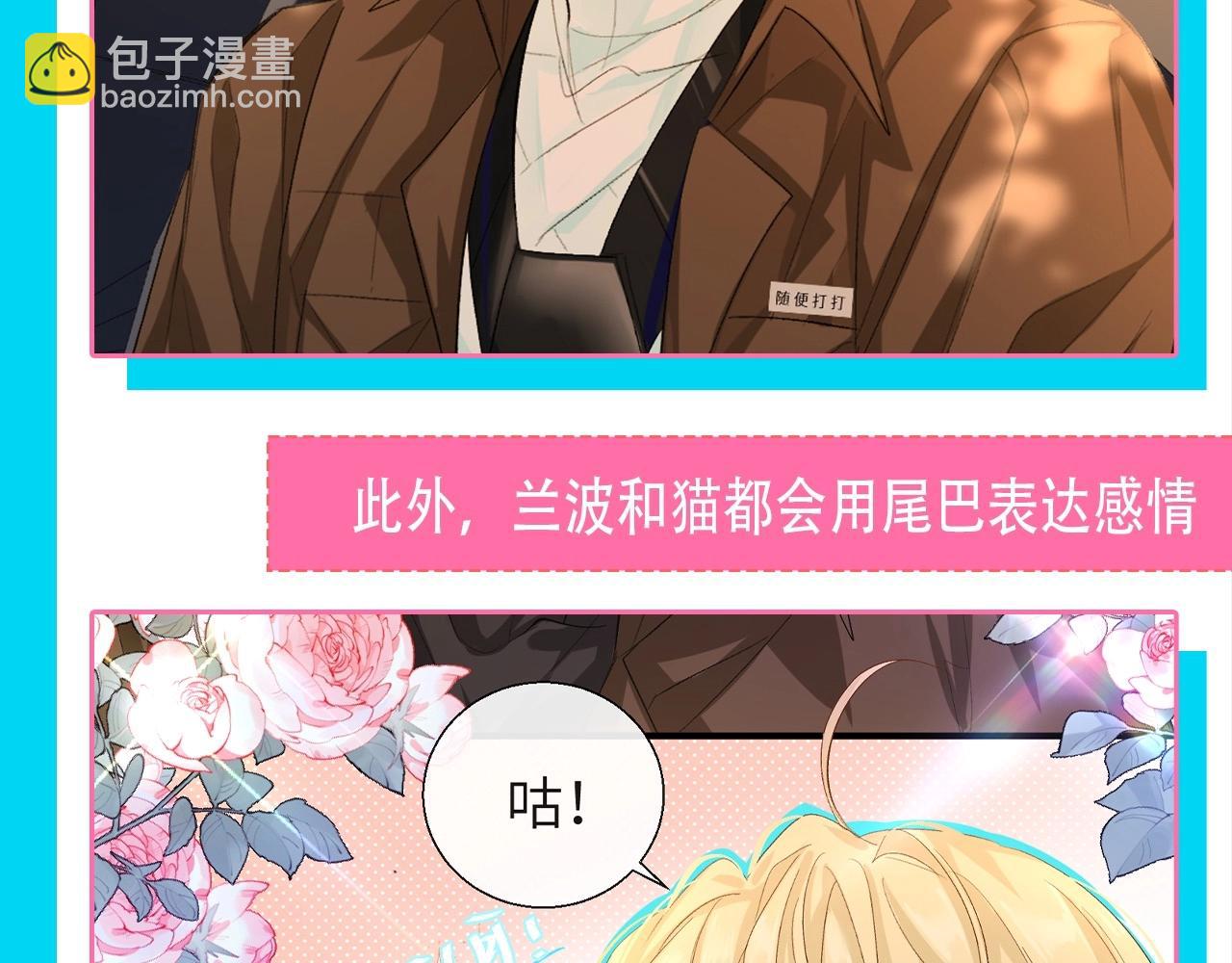 第84期 这下谁还分得清兰波和猫啊？4