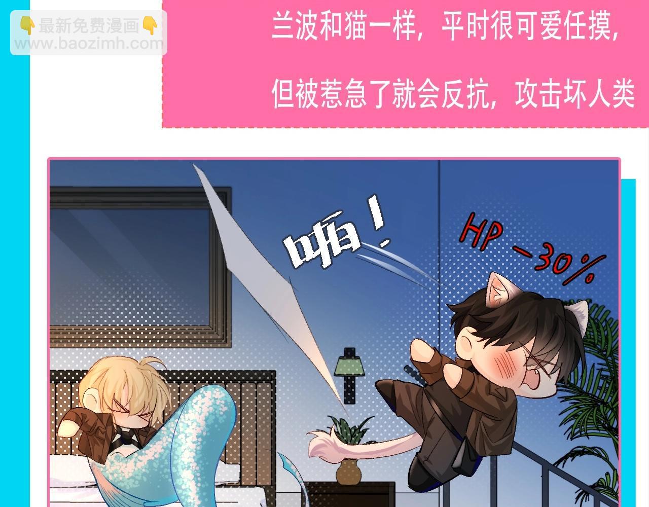 第84期 这下谁还分得清兰波和猫啊？7