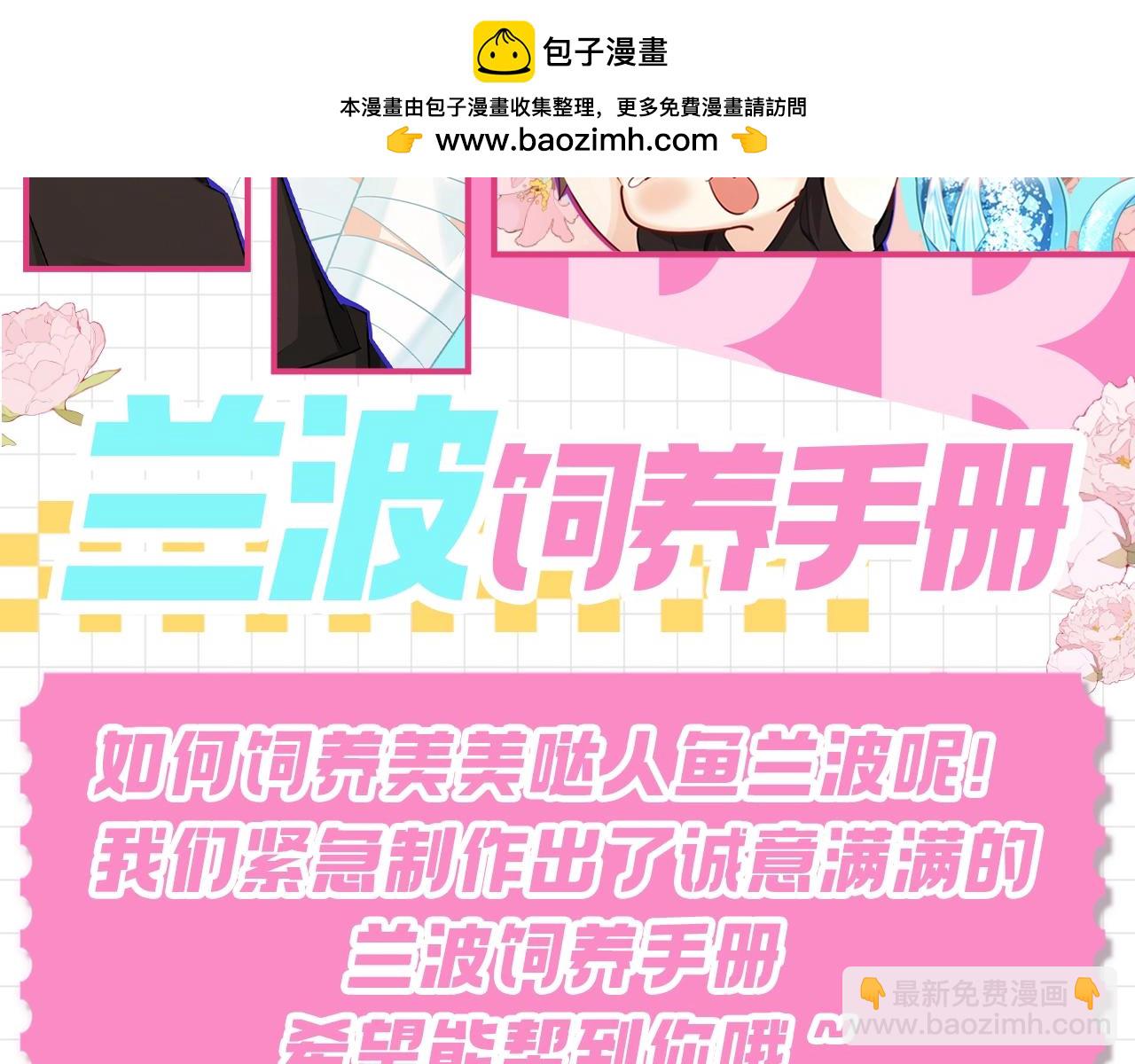 第86期  兰波饲养手册1
