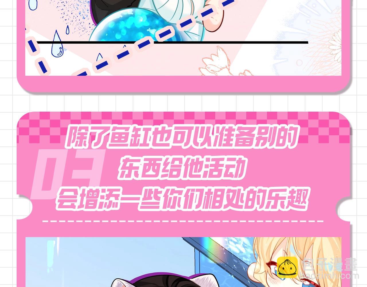 第86期  兰波饲养手册8