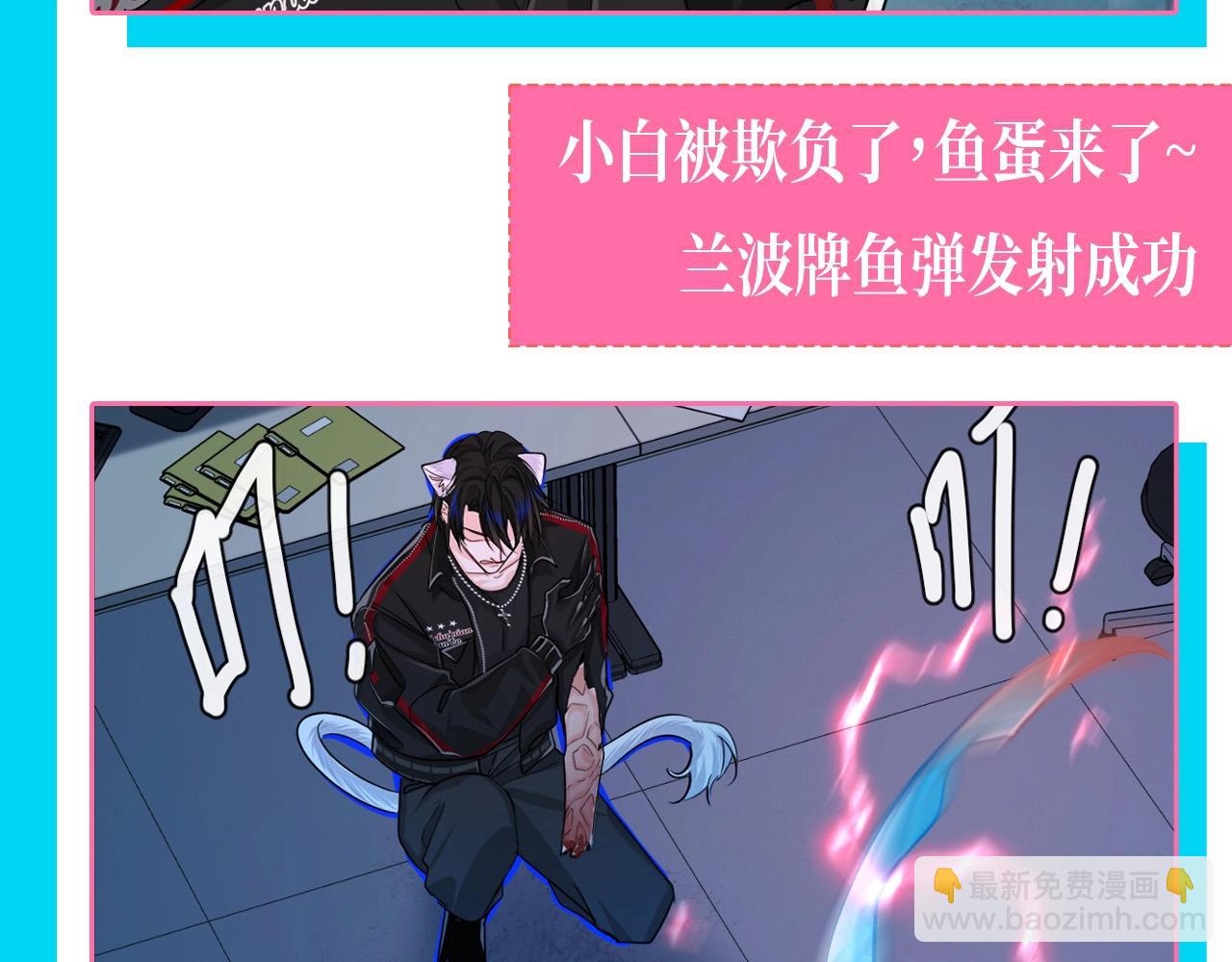 第91期 整活企划：兰波牌鱼蛋12