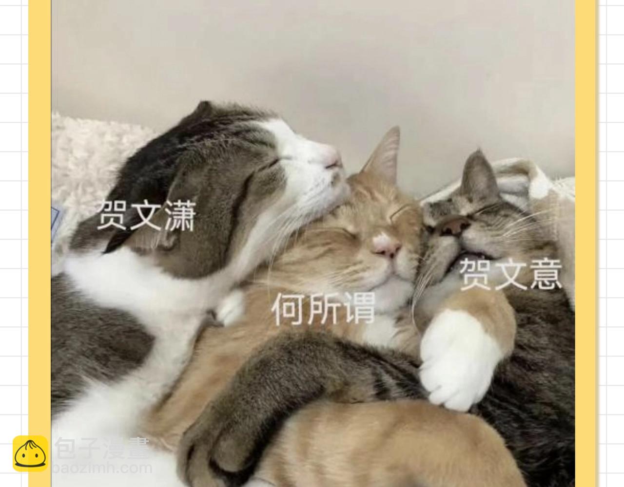 第92期 搞点事：何所谓和他的两只二哈（日更中）10