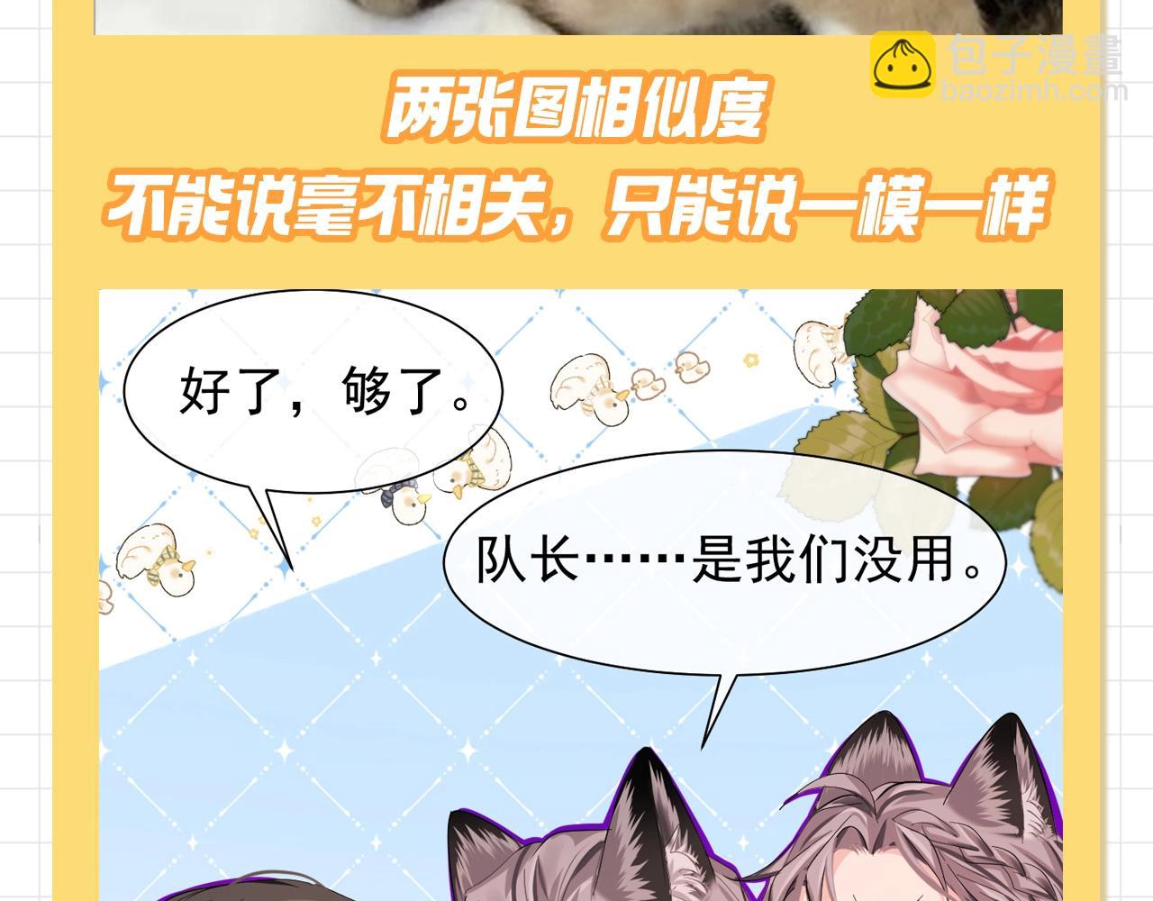第92期 搞点事：何所谓和他的两只二哈（日更中）11