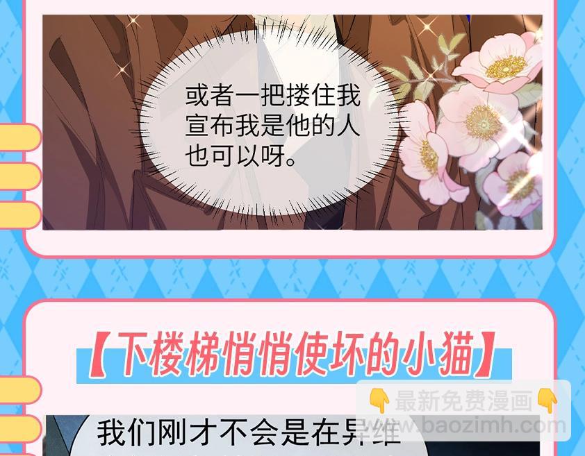 第121期 搞点事：抓猫猫腹黑现行！11