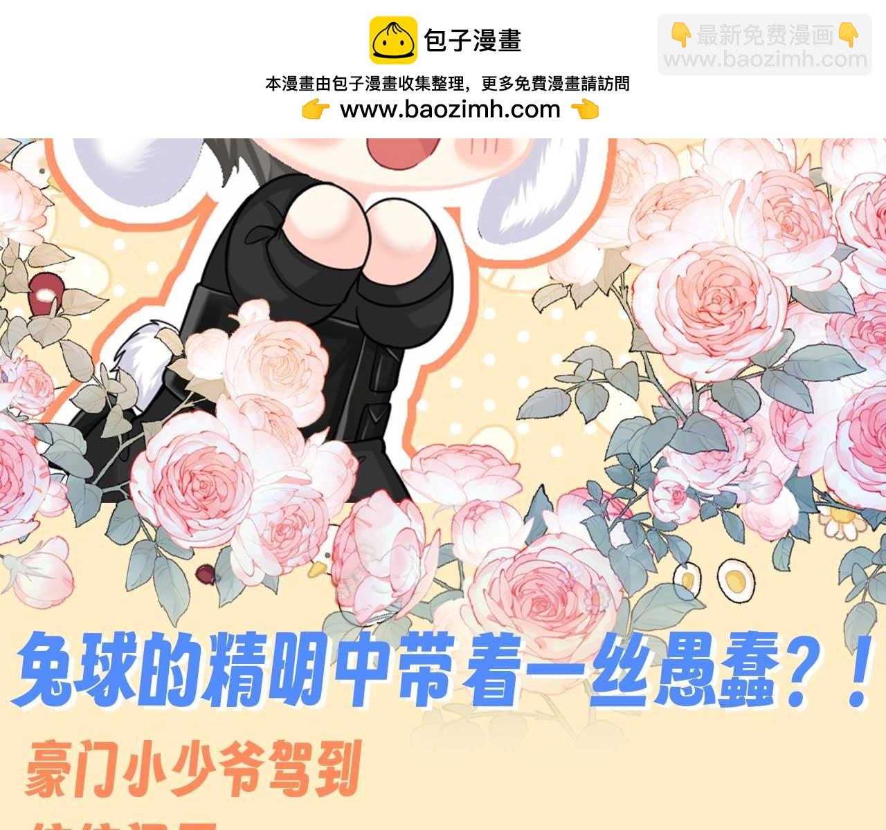 第140期 搞点事：兔球的精明中带着一丝愚蠢？！1