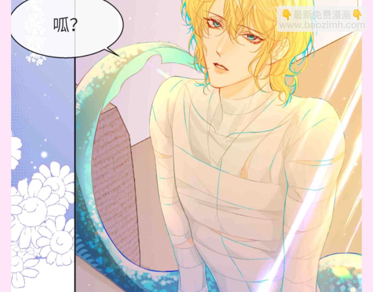 第147期 特别企划：白兰地的衣服有哪些？3