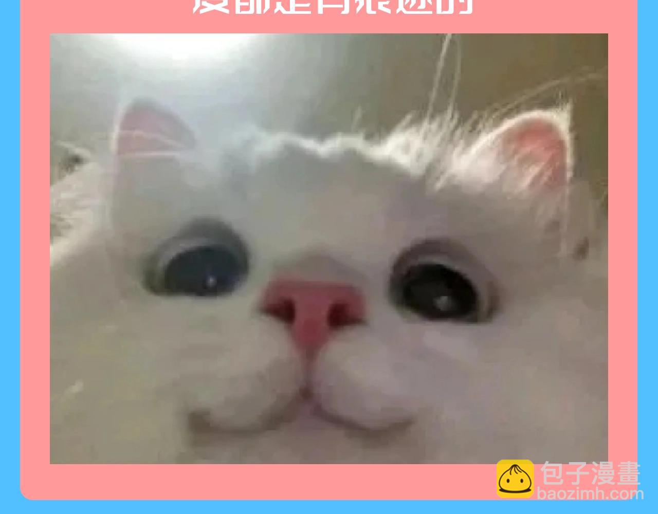 第151期 特别企划：小两口独有的仪式感24