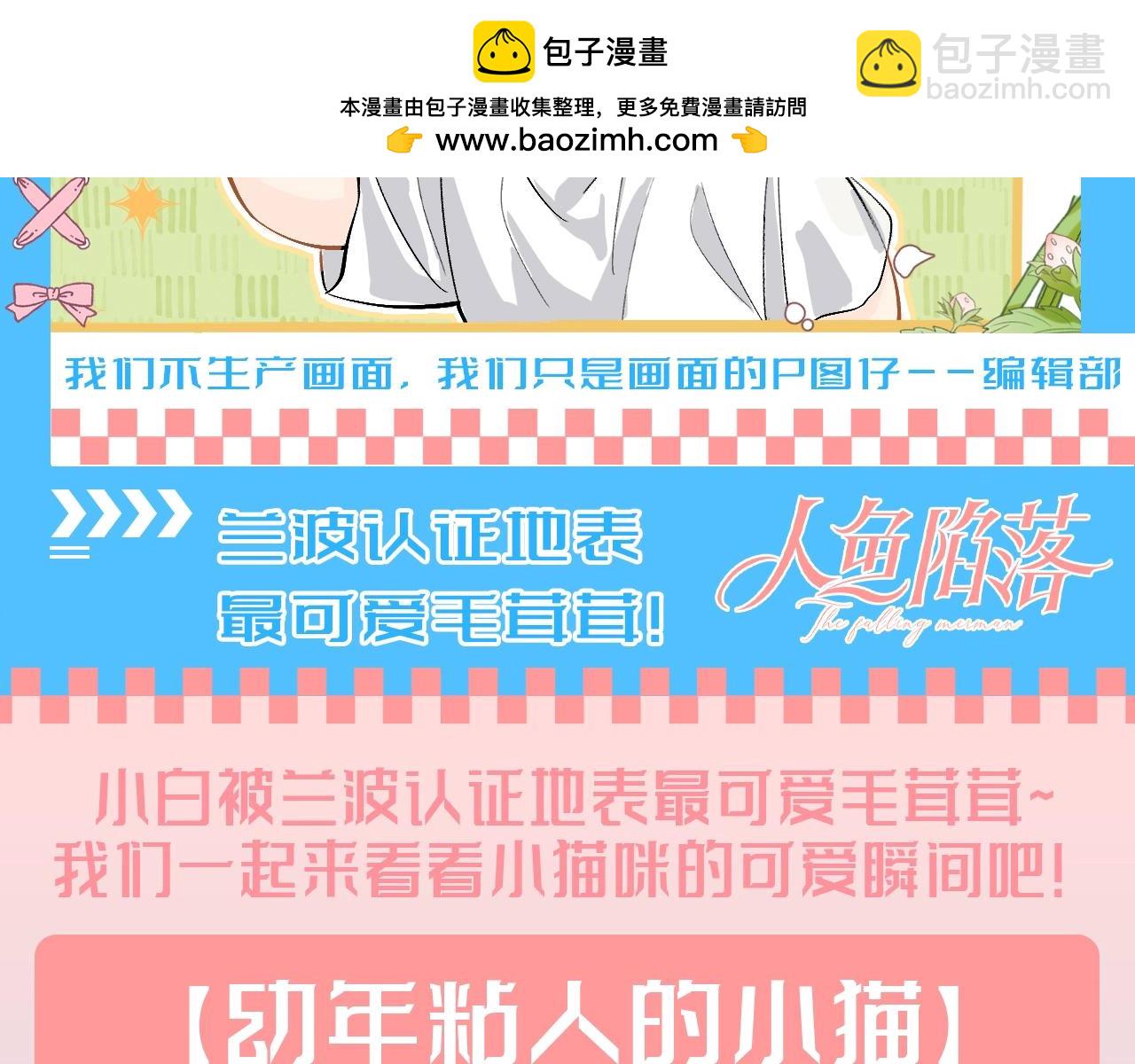 第166期 特别企划：兰波认证地表最可爱毛茸茸！1