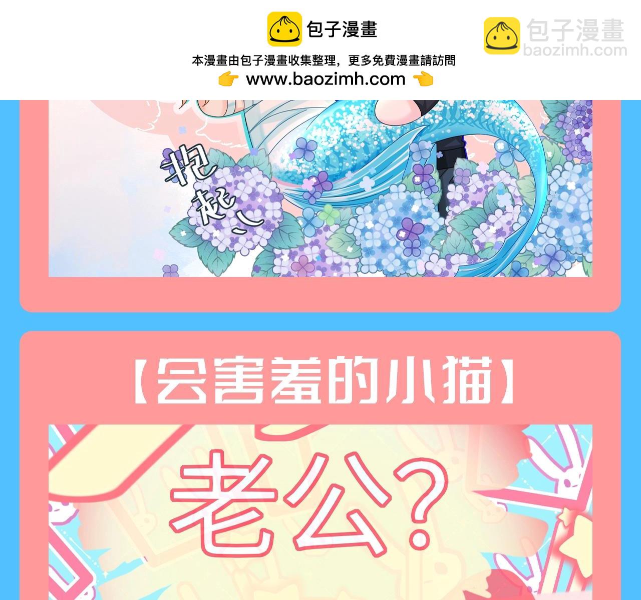第166期 特别企划：兰波认证地表最可爱毛茸茸！12