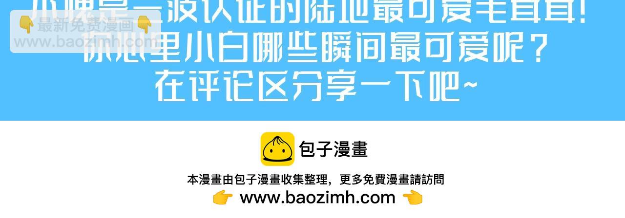 第166期 特别企划：兰波认证地表最可爱毛茸茸！15