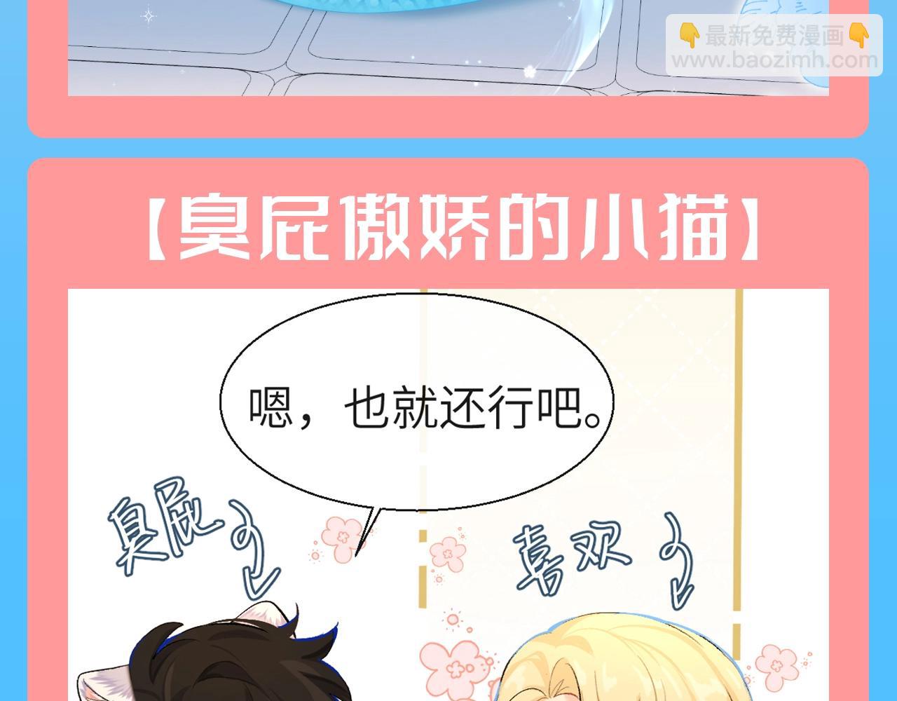 第166期 特别企划：兰波认证地表最可爱毛茸茸！4
