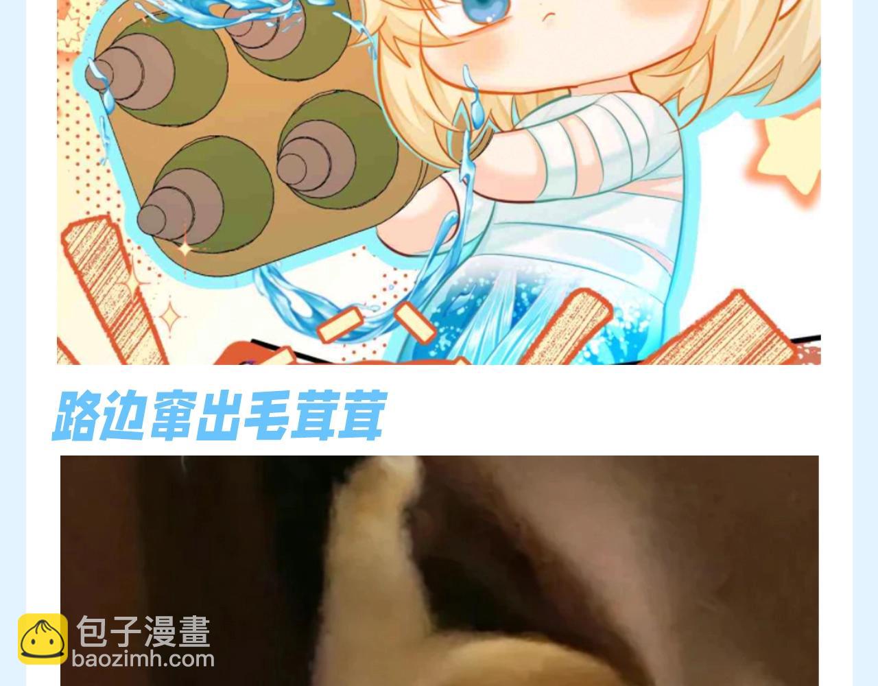 第180期 整活企划：假如兰波在战斗时遇见毛茸茸？！3