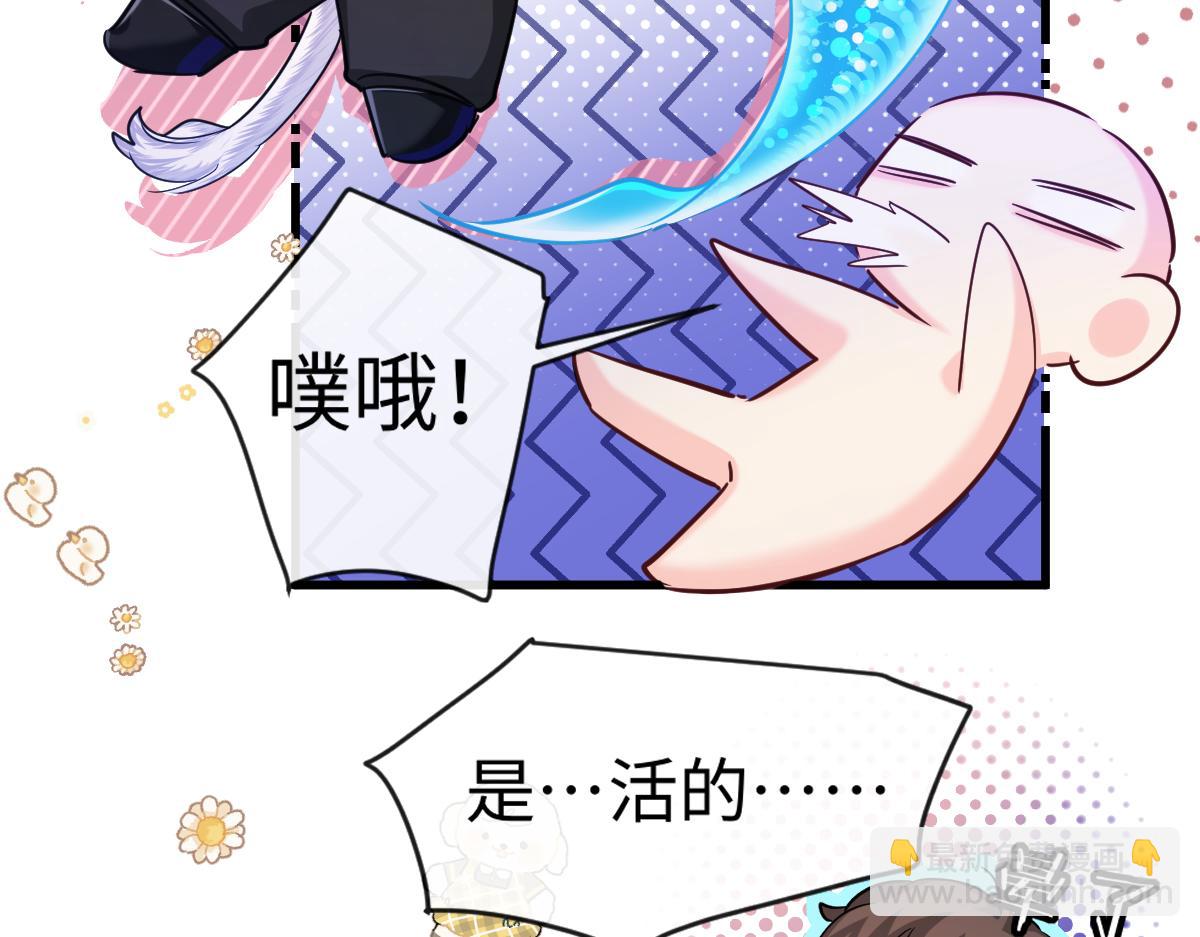 第108话 randi，笨35