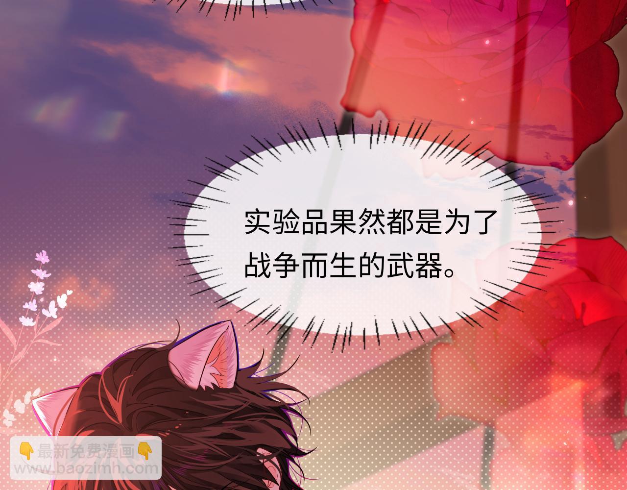 第113话 贝金，跟上9