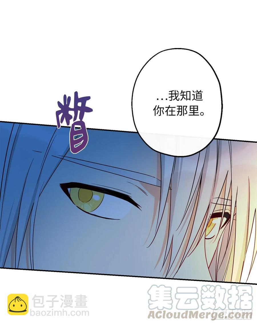 55.她是我的36