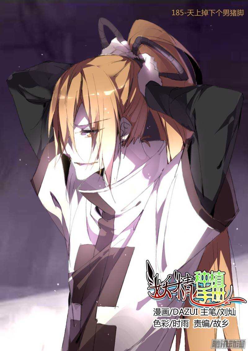 185-天上掉下个男猪脚0