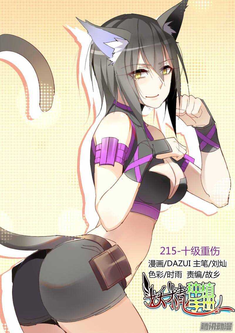 250-十级重伤0