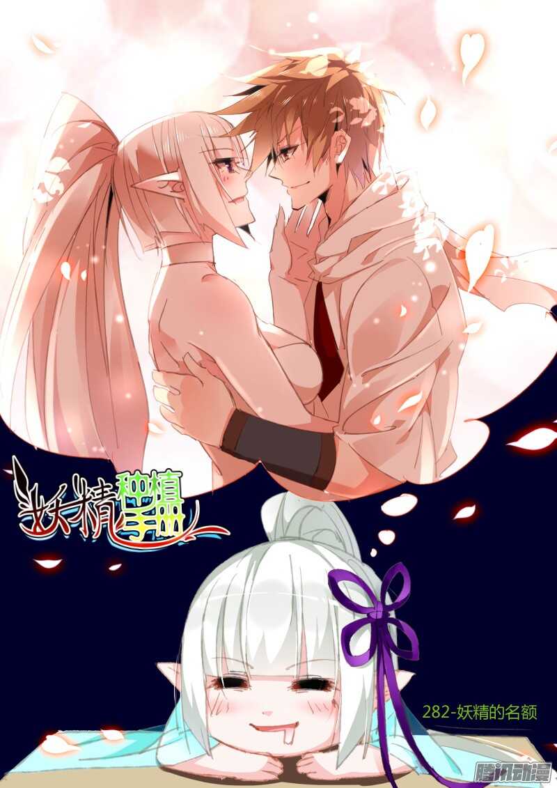 282-妖精的名额0