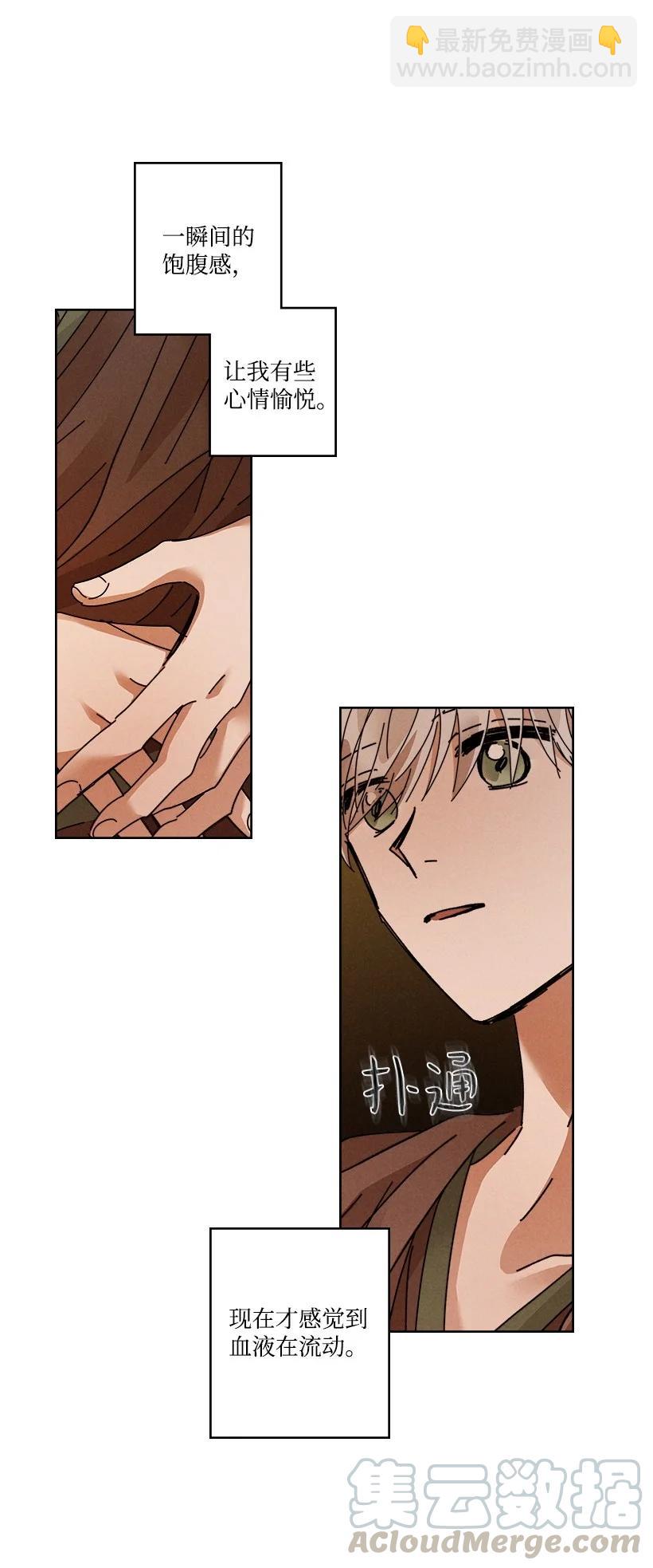 117 11733