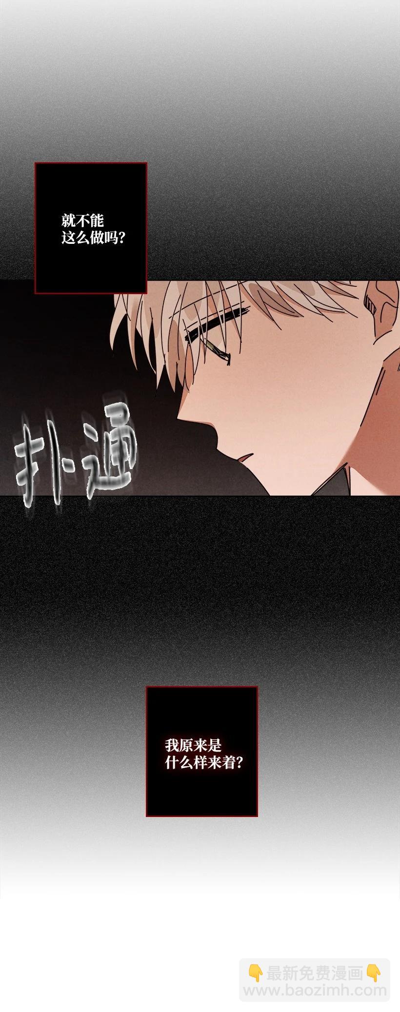117 11735