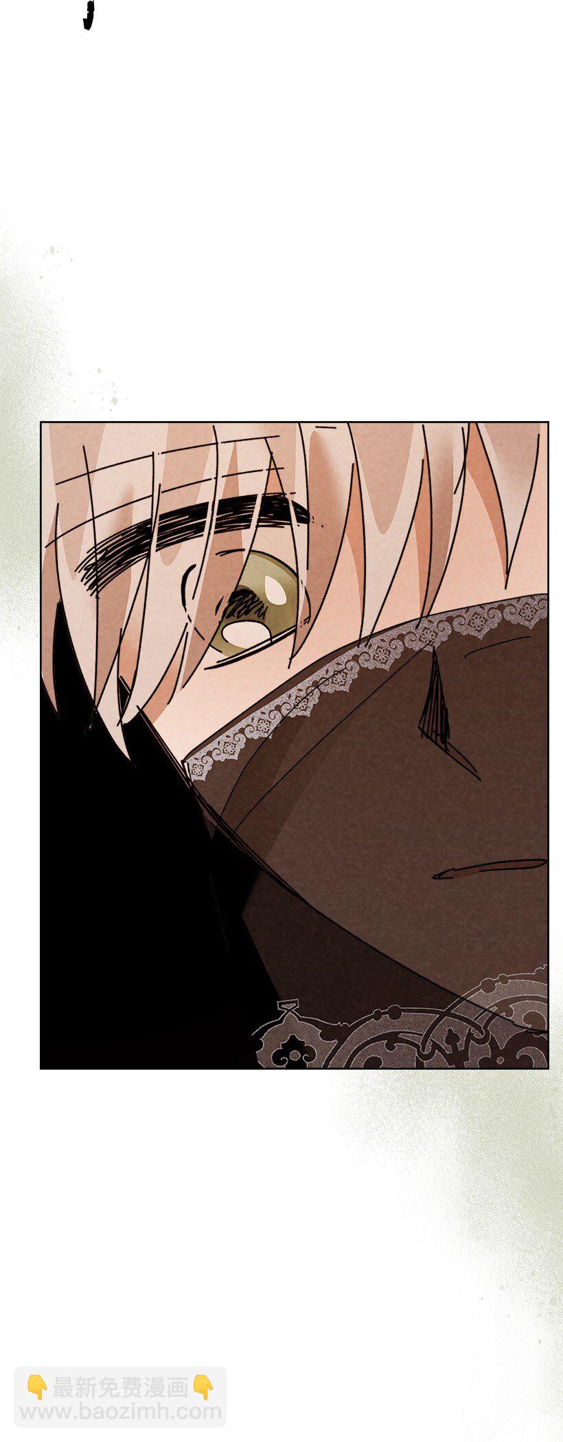 167 16775