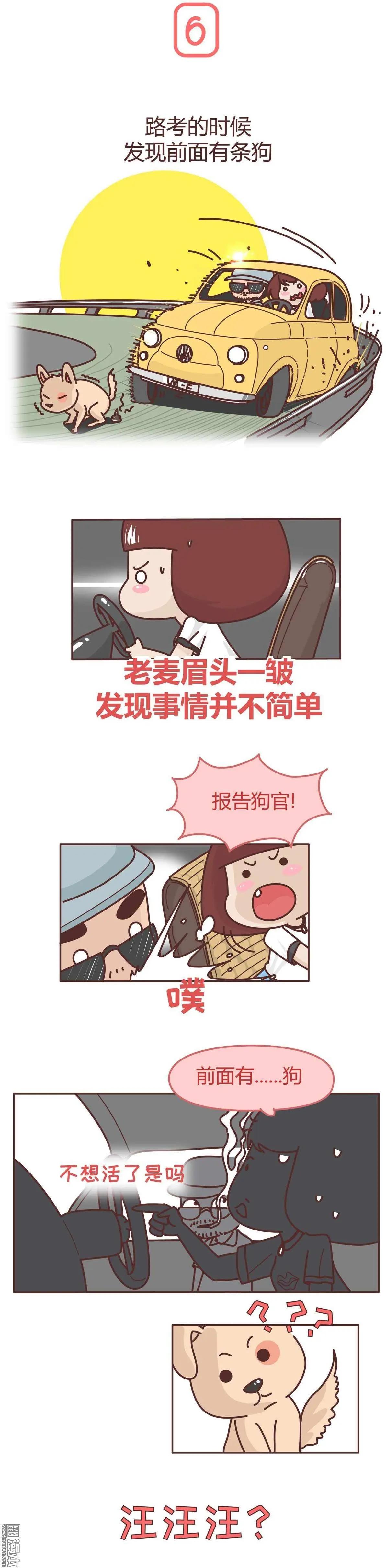 第224回 等一下，等一下，我还没上车5