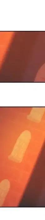 21158