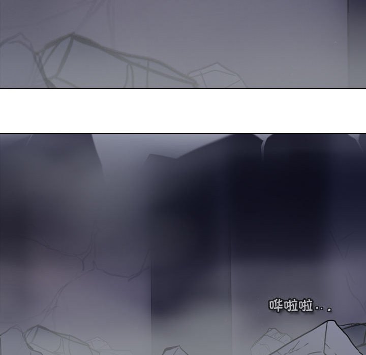 20733