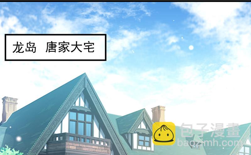 唐家必须由我掌控！29