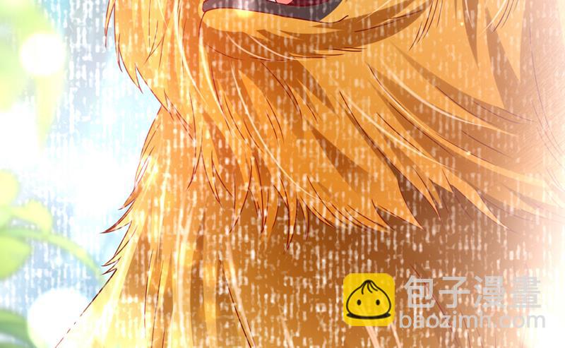 改变规矩！41