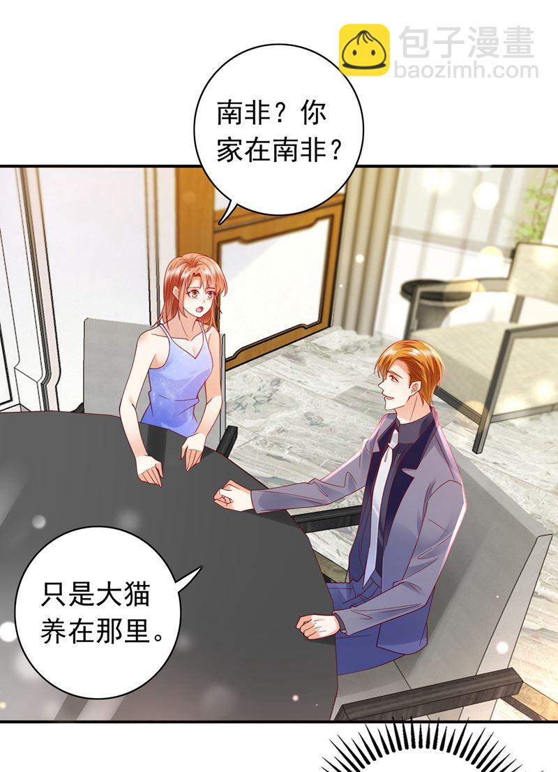 这是……大猫？！24