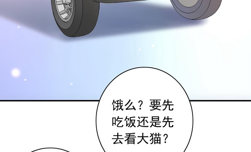这是……大猫？！35
