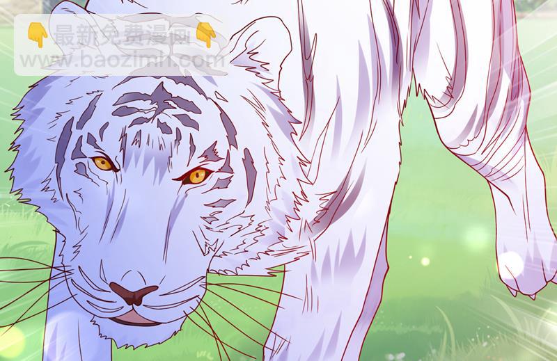 这是……大猫？！47