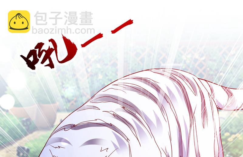 这是……大猫？！50