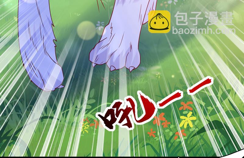 这是……大猫？！52