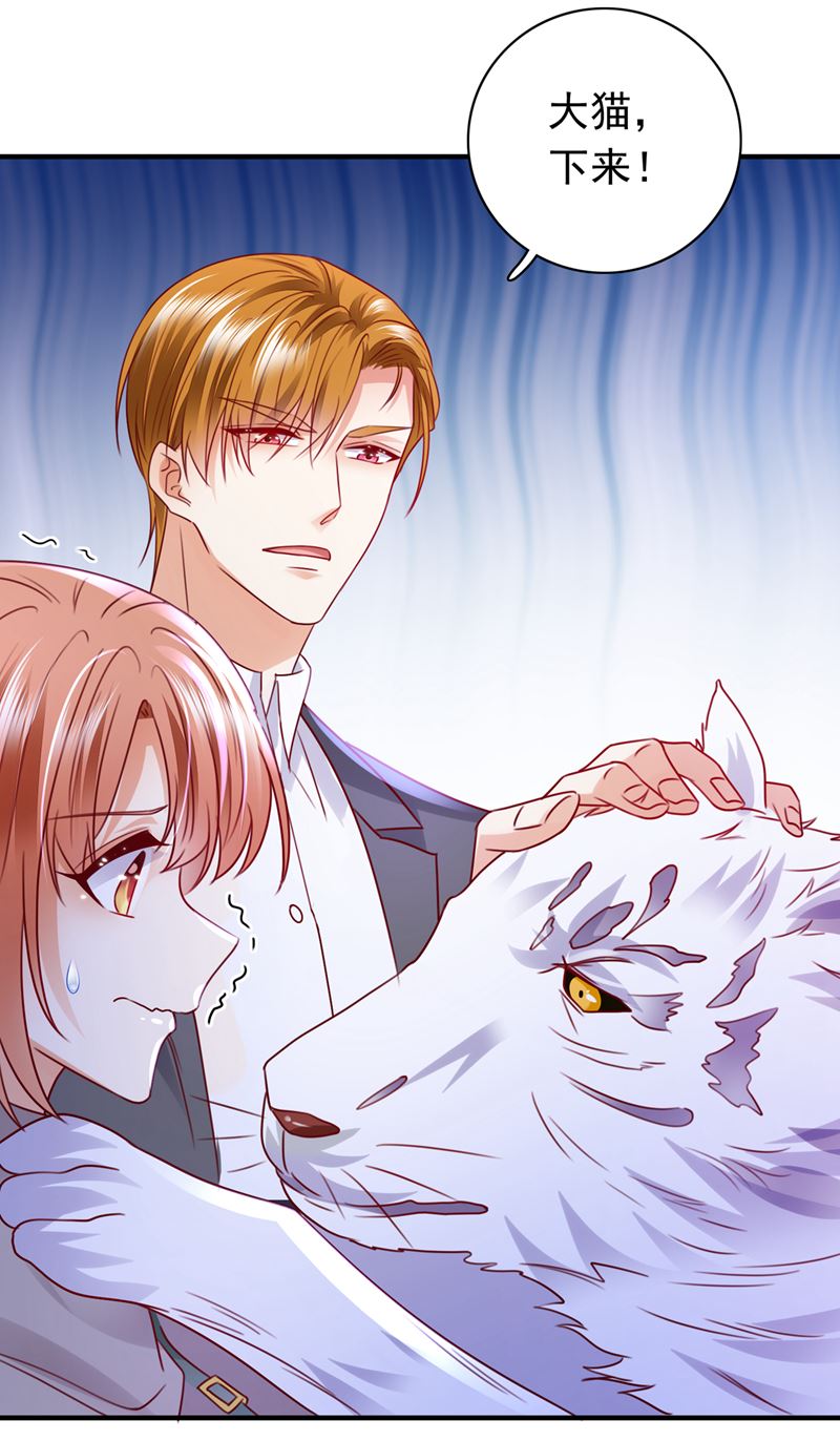 这是……大猫？！58