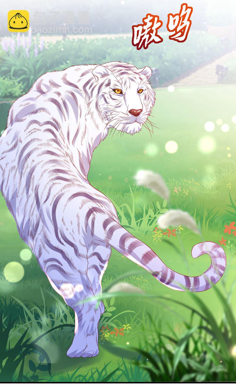 这是……大猫？！60