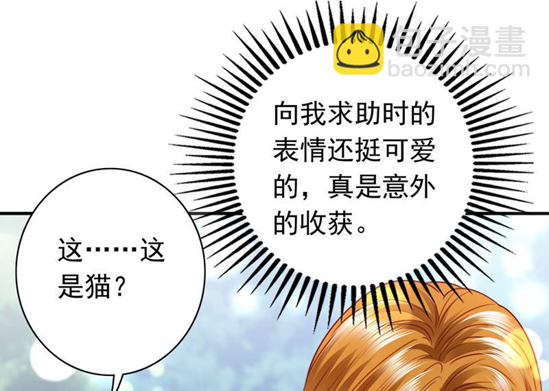 这是……大猫？！61