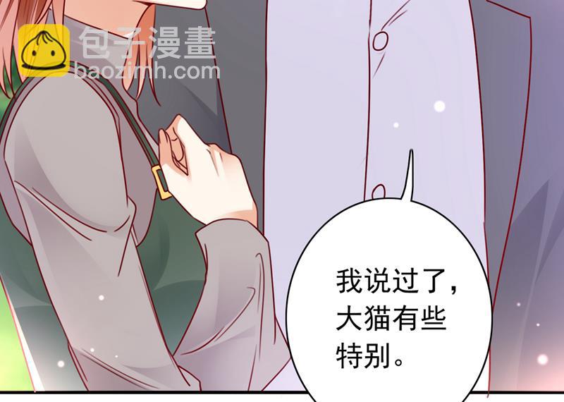 这是……大猫？！63