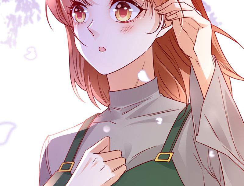 和我一起养大猫吧？11