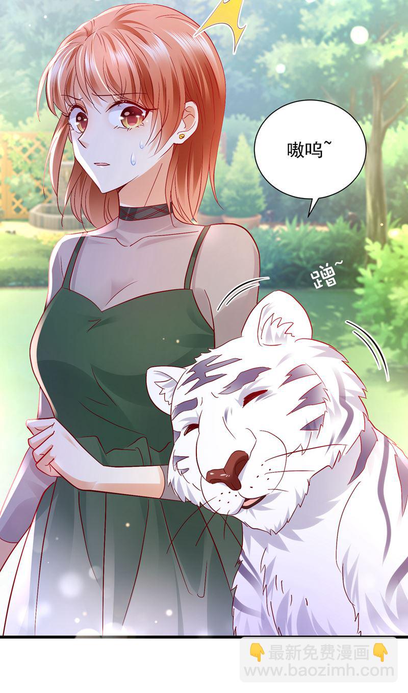 和我一起养大猫吧？17